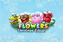 Flowers Christmas Edition