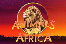 Animals of Africa