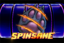 Spinsane