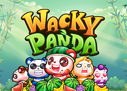 Wacky Panda